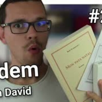 #239 - Tandem de Julien David cover