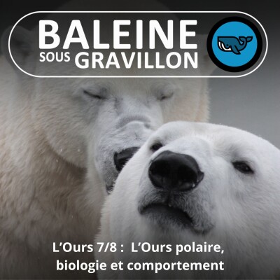 S05E28 L'Ours 7/8 (et Ours polaire 2/3) : Biologie et comportement (Rémy Marion) cover