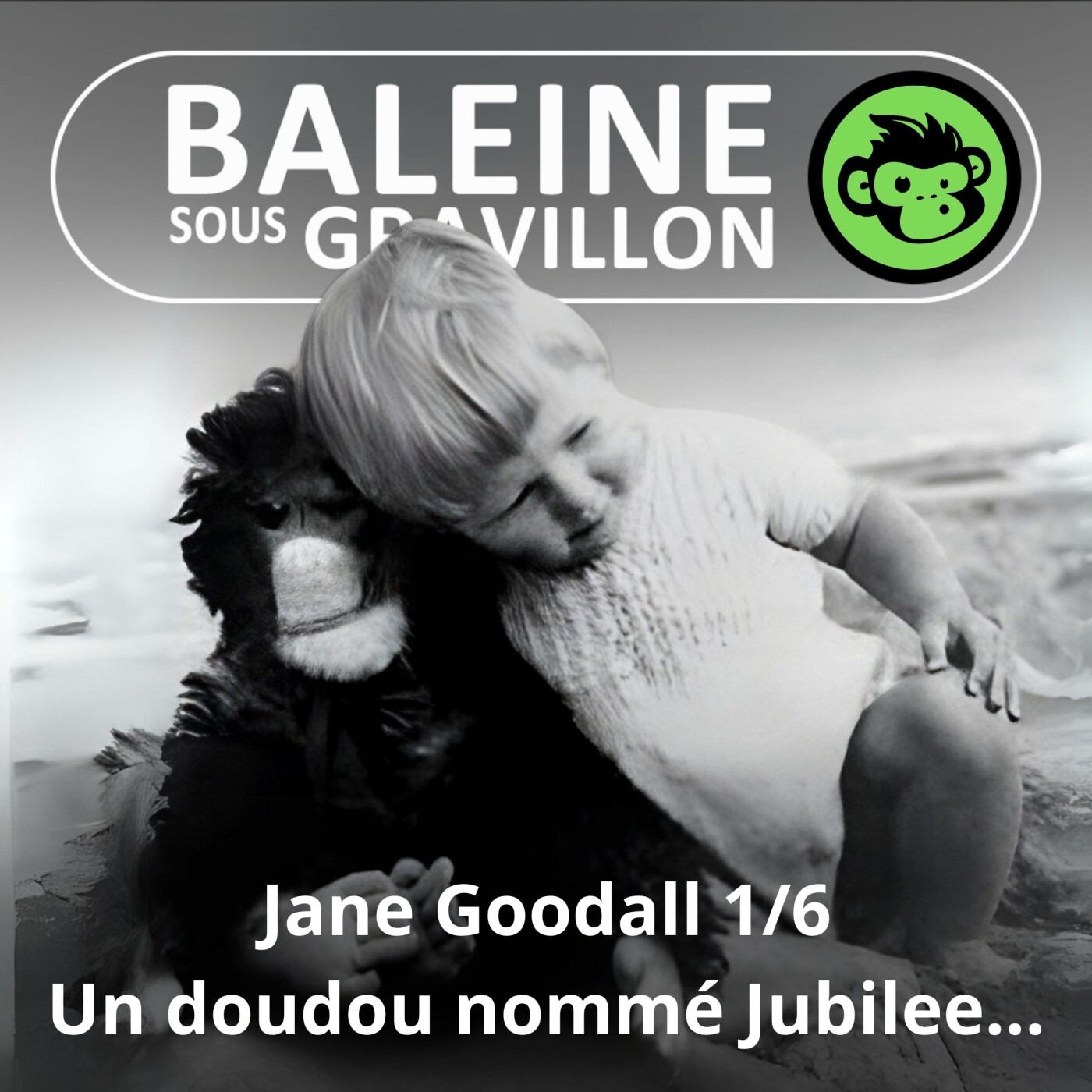S07E21 Jane Goodall 1/6 : Il était une fois un doudou nommé Jubilee (Emmanuelle Grundmann)