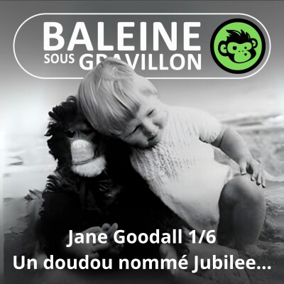 S07E21 Jane Goodall 1/6 : Il était une fois un doudou nommé Jubilee (Emmanuelle Grundmann) cover