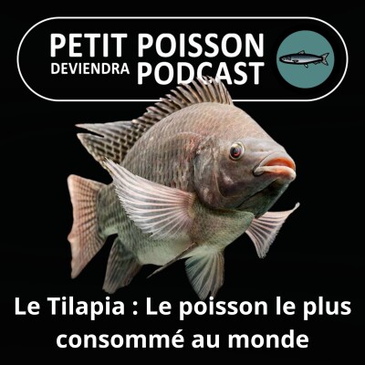 S01E20 Le Tilapia : De la multiplication des poissons bibliques aux élevages globaux cover