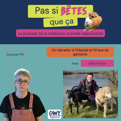 Episode 10 - Eline Thirion cover