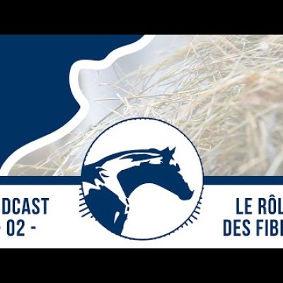 🎙 Podcast by Reverdy #2 | Rôle des fibres dans la ration cover