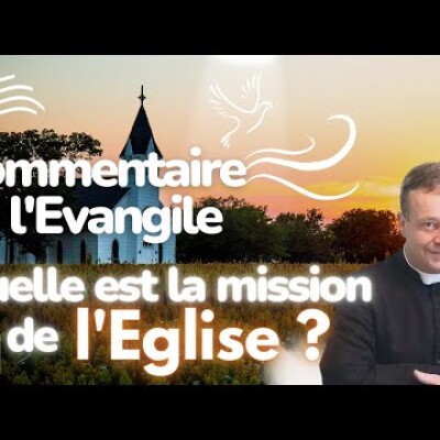Qu'elle est la mission de l'Eglise ?  • Commentaire de l'Evangile • Homélie | Dimanche 25 juin cover