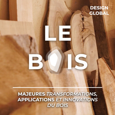 LE BOIS, ses majeures transformations, applications et innovations 2/2 cover