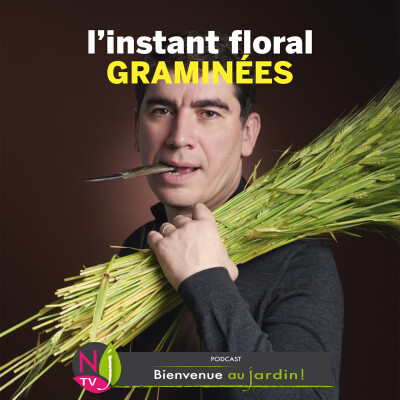 #83: L’INSTANT FLORAL : UN BOUQUET D’HERBES FOLLES cover