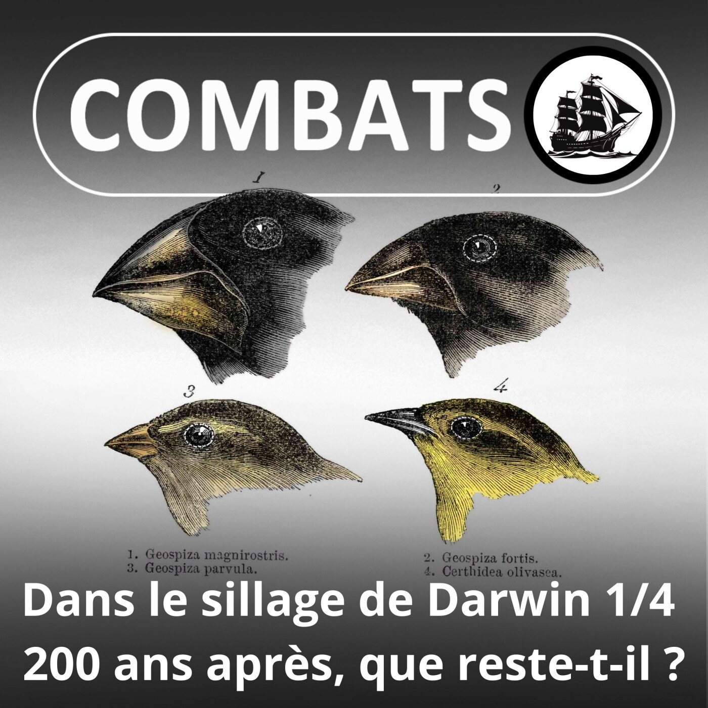 SPÉCIAL Darwin : Le même voyage que lui ... 2 siècles plus tard 1/4