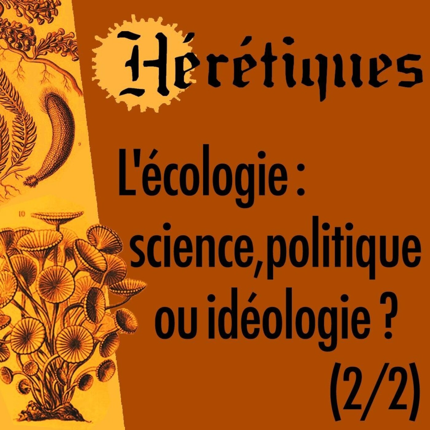 Hérétiques