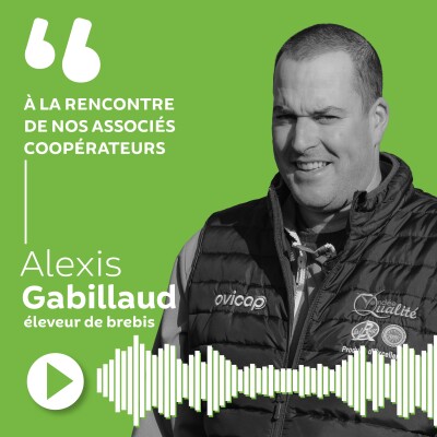 Alexis Gabillaud - Éleveur de brebis cover
