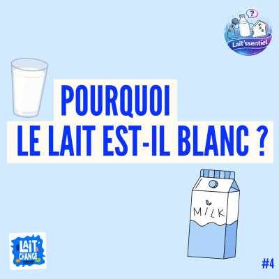 Pourquoi le lait est-il blanc ? - LAIT'SSENTIEL #4 cover