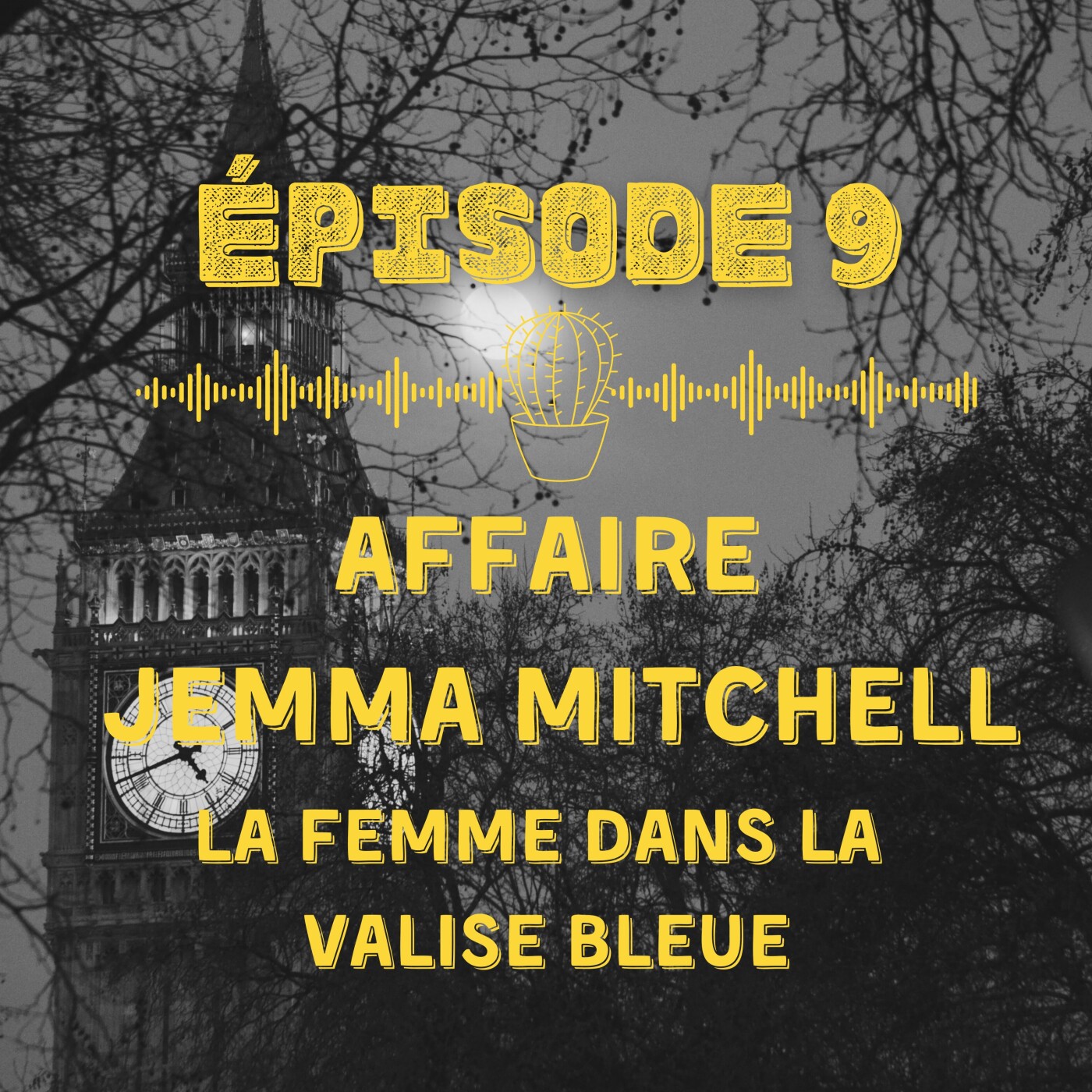 Affaire Jemma Mitchell : la femme dans la valise bleue&%238230;