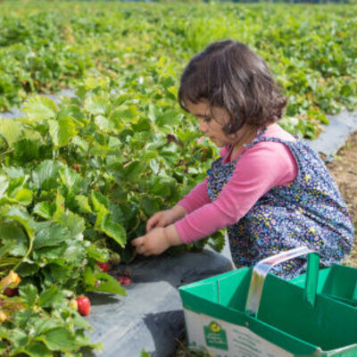 C'est drôlement chouette la ferme ! cover