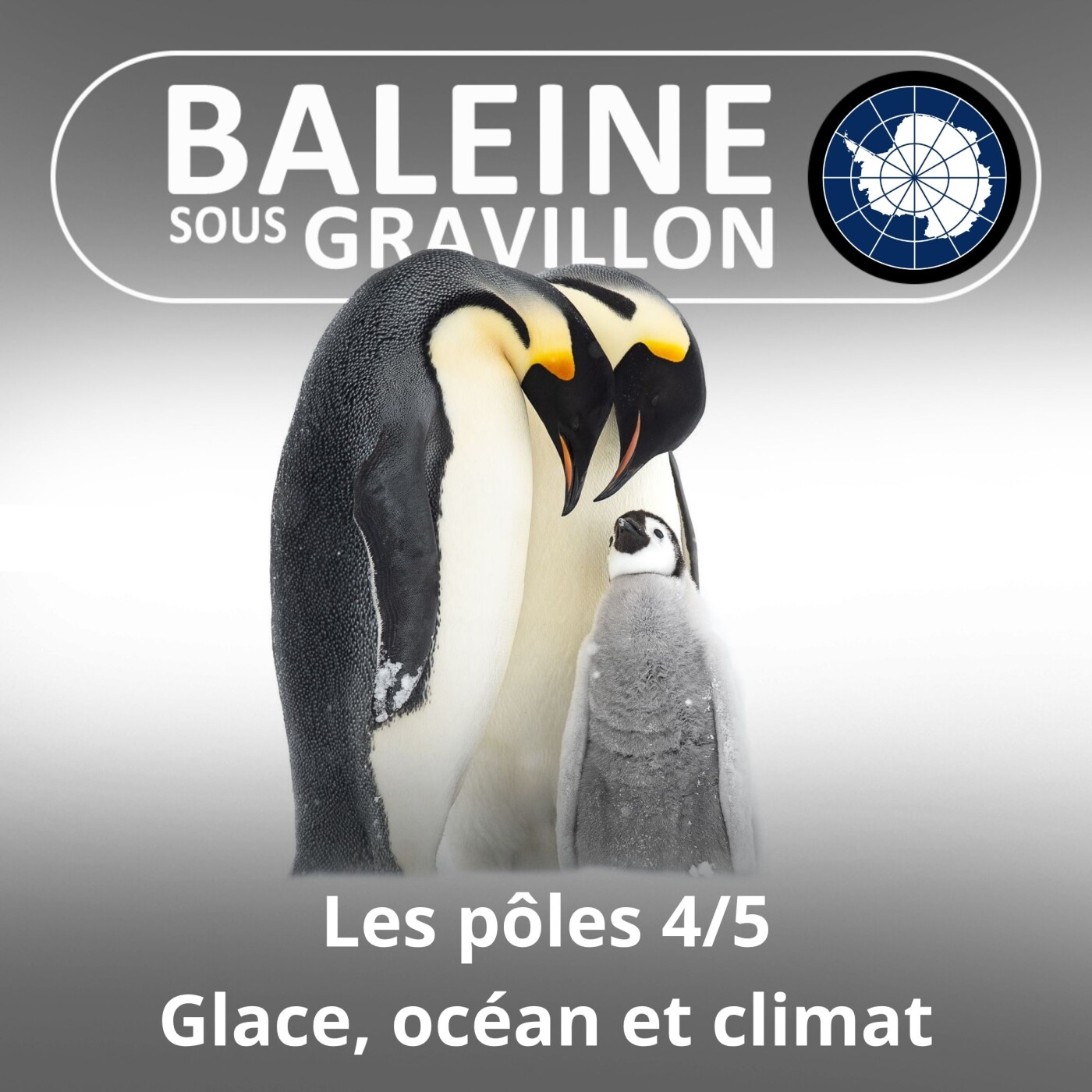 S02E101 Les pôles 4/5 : Glace, océans et climat episode artwork