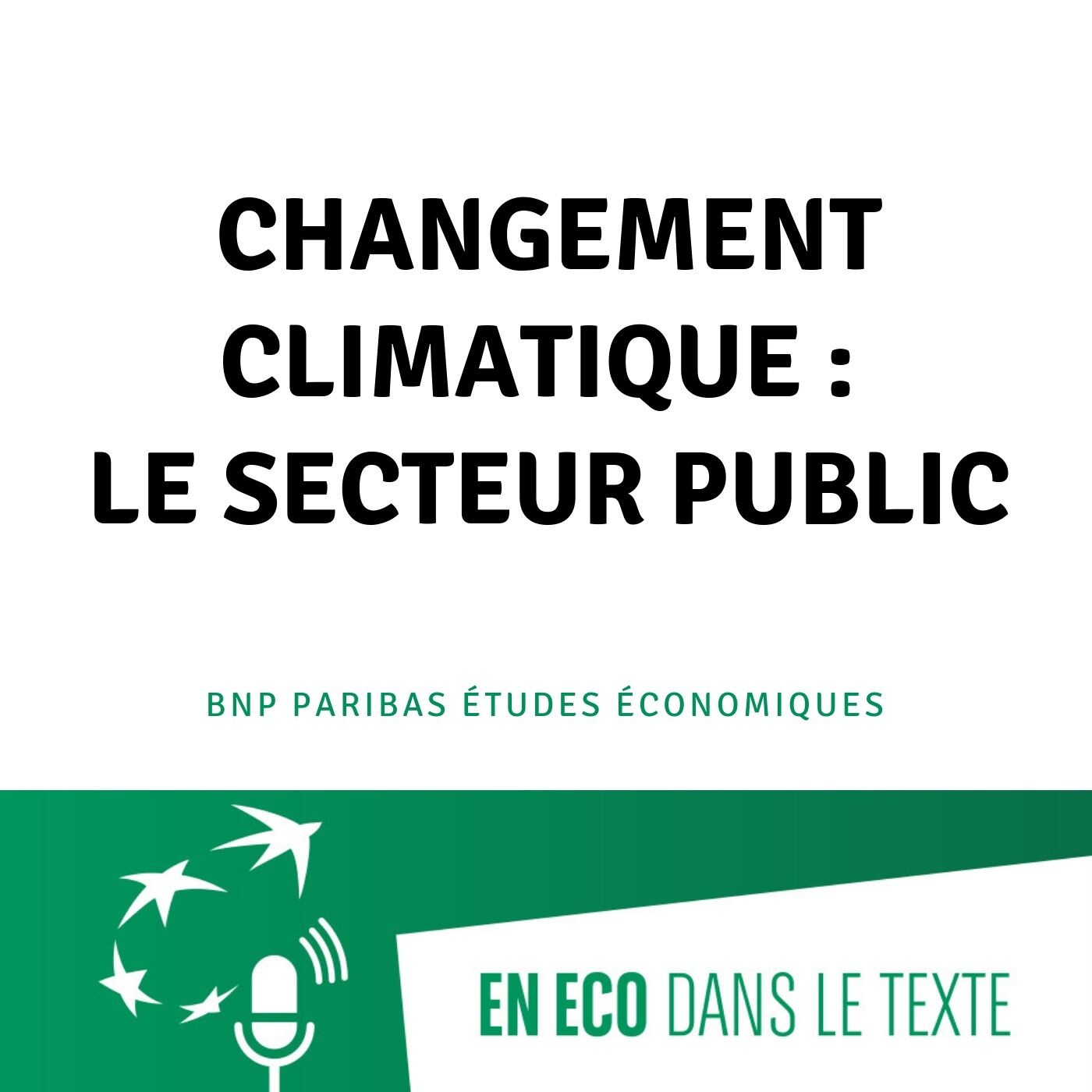 #04 – Changement climatique : le secteur public episode artwork