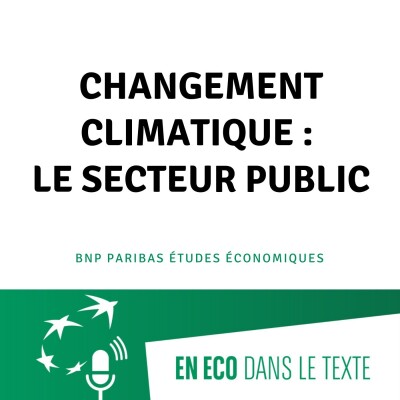 #04 – Changement climatique : le secteur public cover