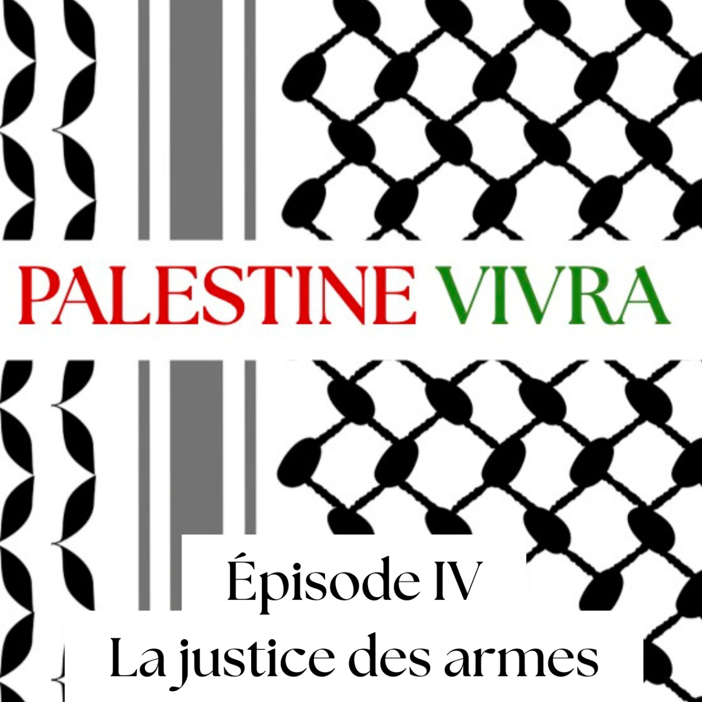 Palestine Vivra - Episode 4 - La justice des armes