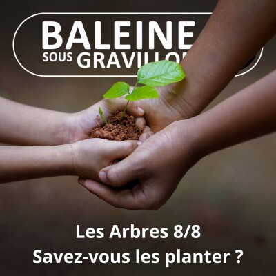 S03E87 Les Arbres 8/8 : Savez-vous planter des... arbres ? (Ernst Zürcher) cover