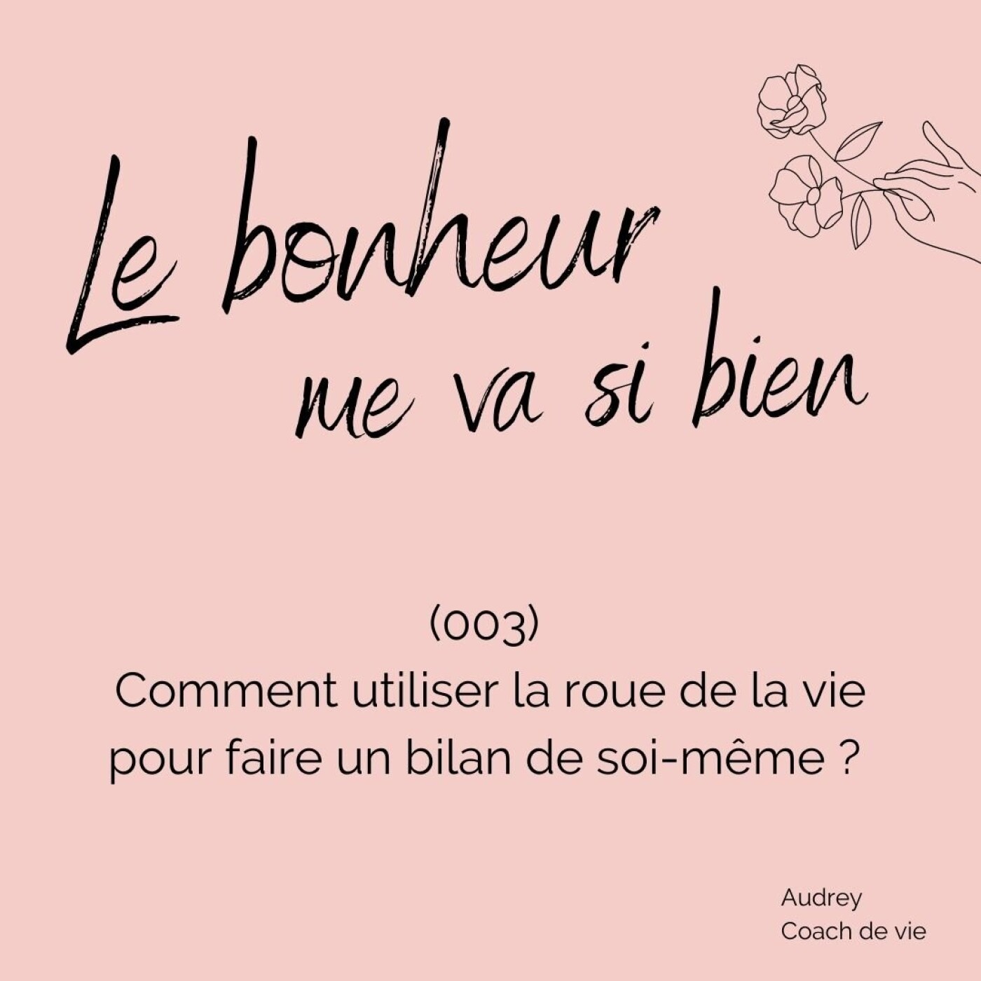(003) Comment utiliser la roue de la vie pour faire un bilan de soi-même ? episode artwork