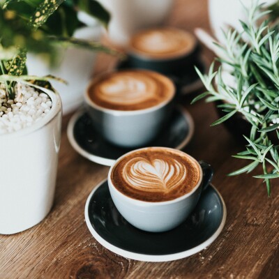 Le coup de coeur de Martine et Mayalene cover