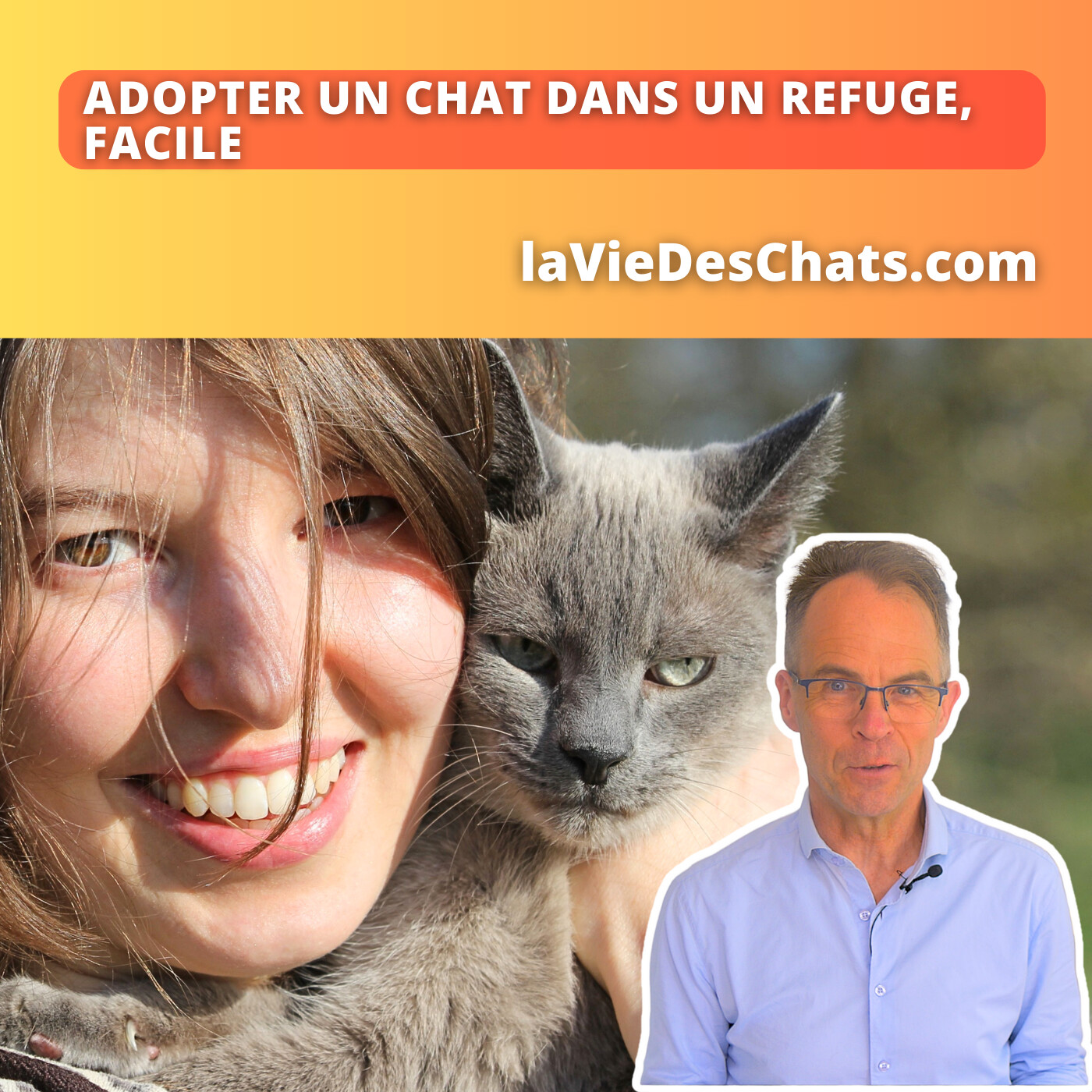 laVieDesChats