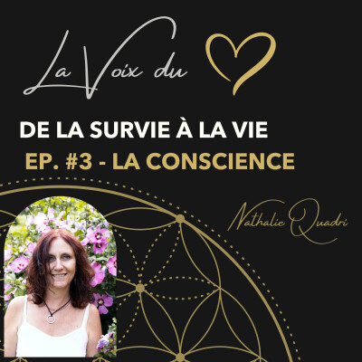 Conscience : élargis ton regard au-delà des limites.. De la Survie à la Vie #3 cover