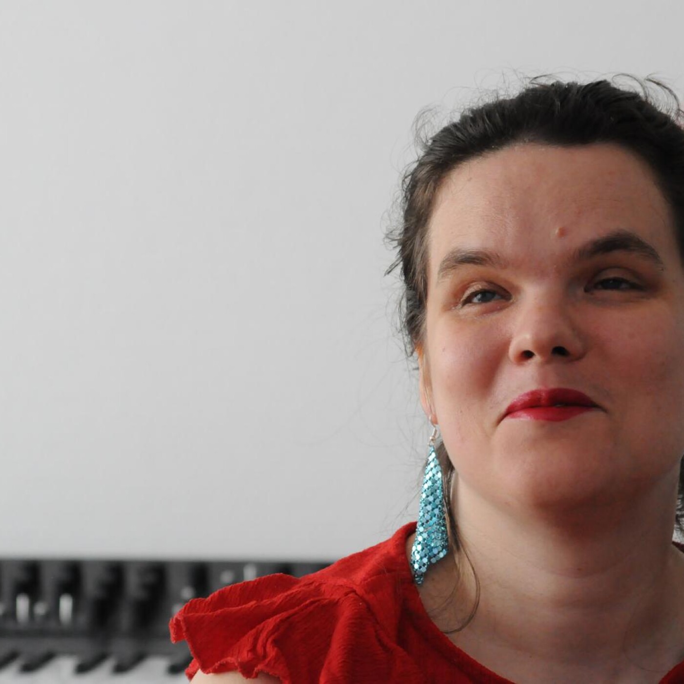 Les carnets d'incohérences cover