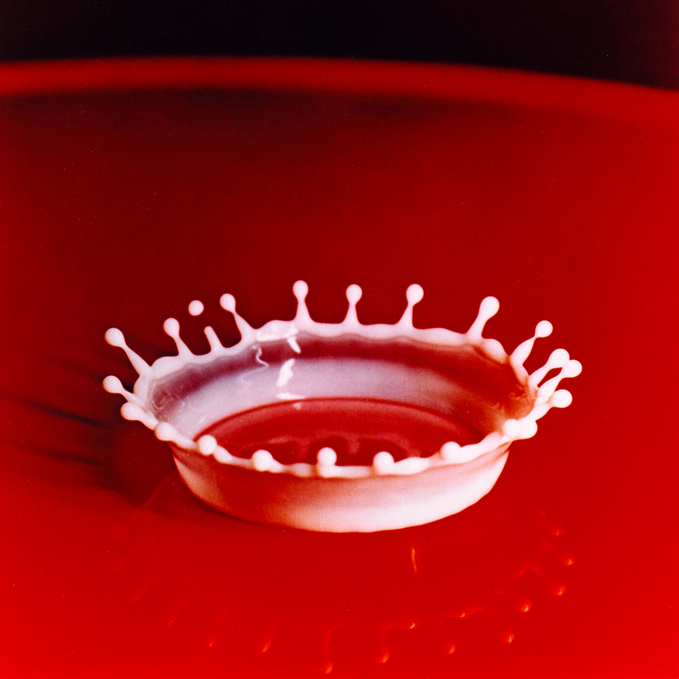 10 « La première gorgée de bière et autres plaisirs minuscules », Philippe Delerm