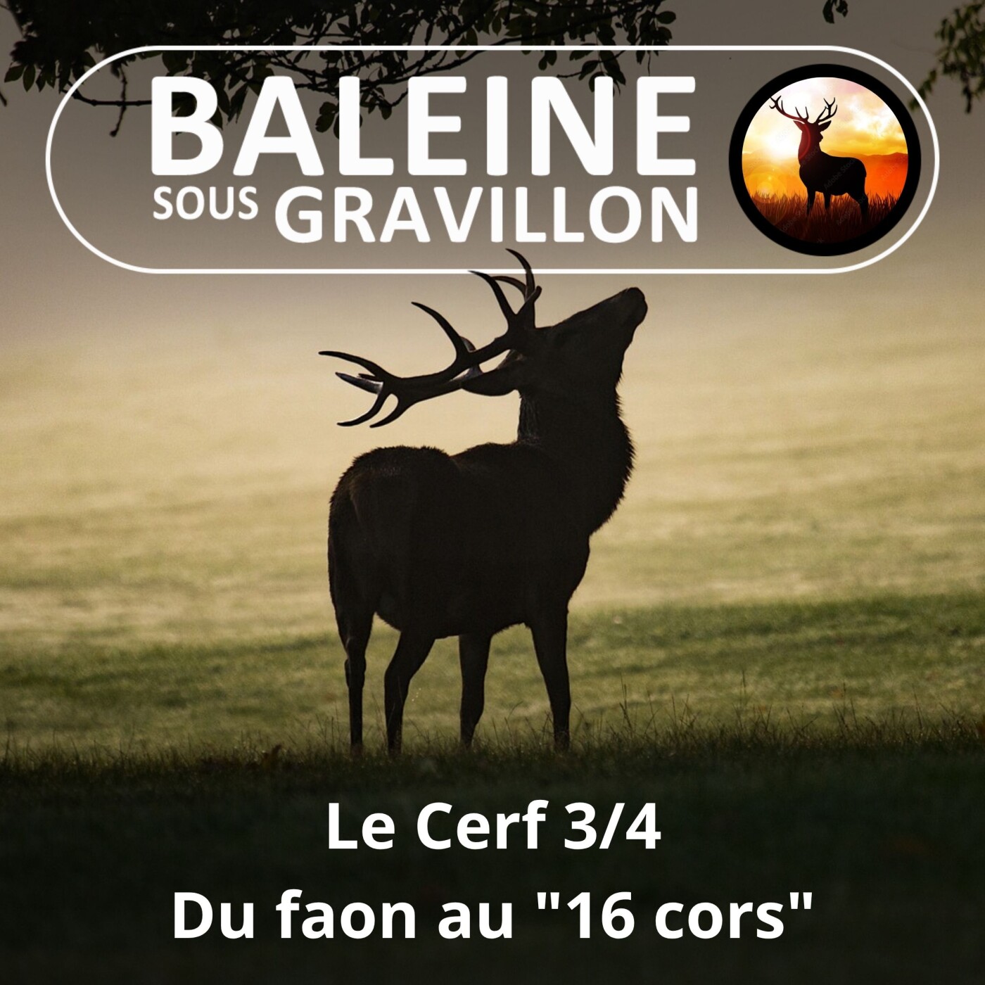 S06E11 Le Cerf 3/4 : Bim, brame, boum ! episode artwork