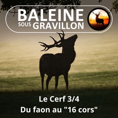 S06E11 Le Cerf 3/4 : Bim, brame, boum ! cover