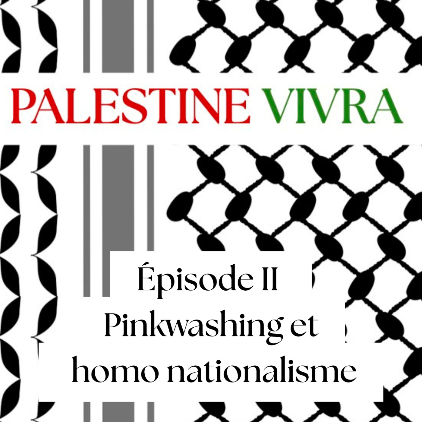 Palestine Vivra - Épisode 2 – Pinkwashing et homo nationalisme Palestine Vivra - Épisode 2 – Pinkwashing et homo nationalisme