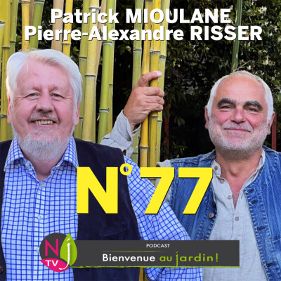 EMISSION #77 du 2 Novembre 2022 - L'INTEGRALE cover
