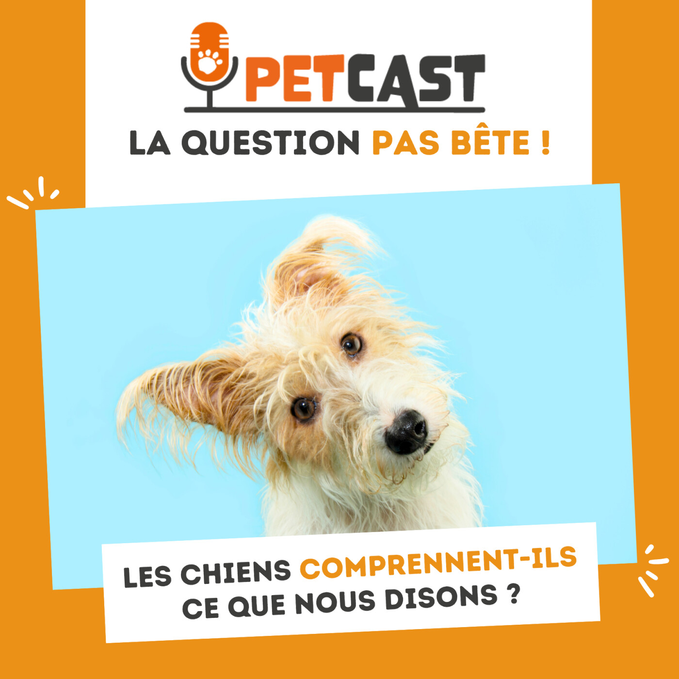 Les chiens comprennent-ils notre langage ? Les chiens comprennent-ils notre langage ?