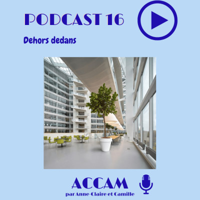 #16 Virginie Ducommun - Dehors dedans cover