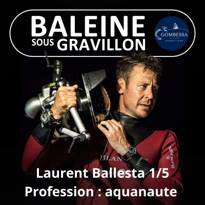 Show cover