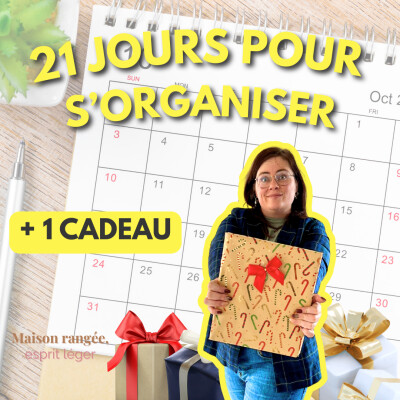 BONUS "21 jours qui pourraient changer ton quotidien" cover