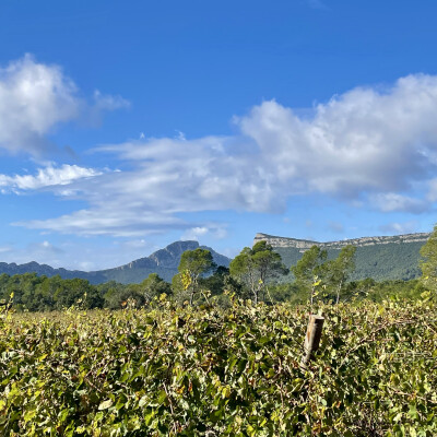 S02E01 // 13 Novembre, Millésime 2025 cover