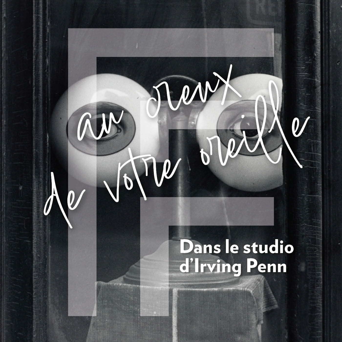 Dans le studio d'Irving Penn episode artwork