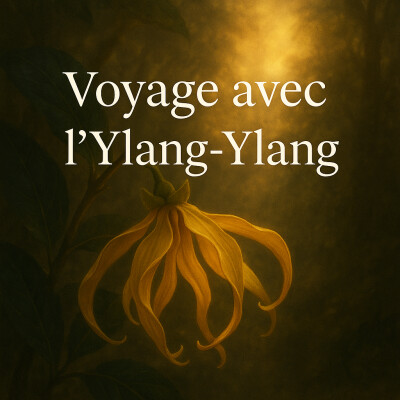 Voyage avec l'Ylang-Ylang cover