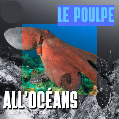 Le Poulpe cover