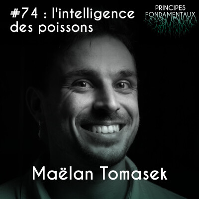 #74 : Maëlan Tomasek - l’intelligence des poissons cover