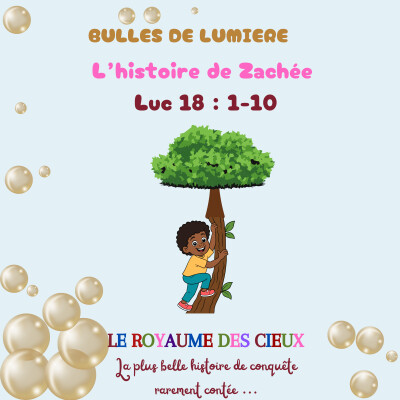 L'histoire de Zachée cover