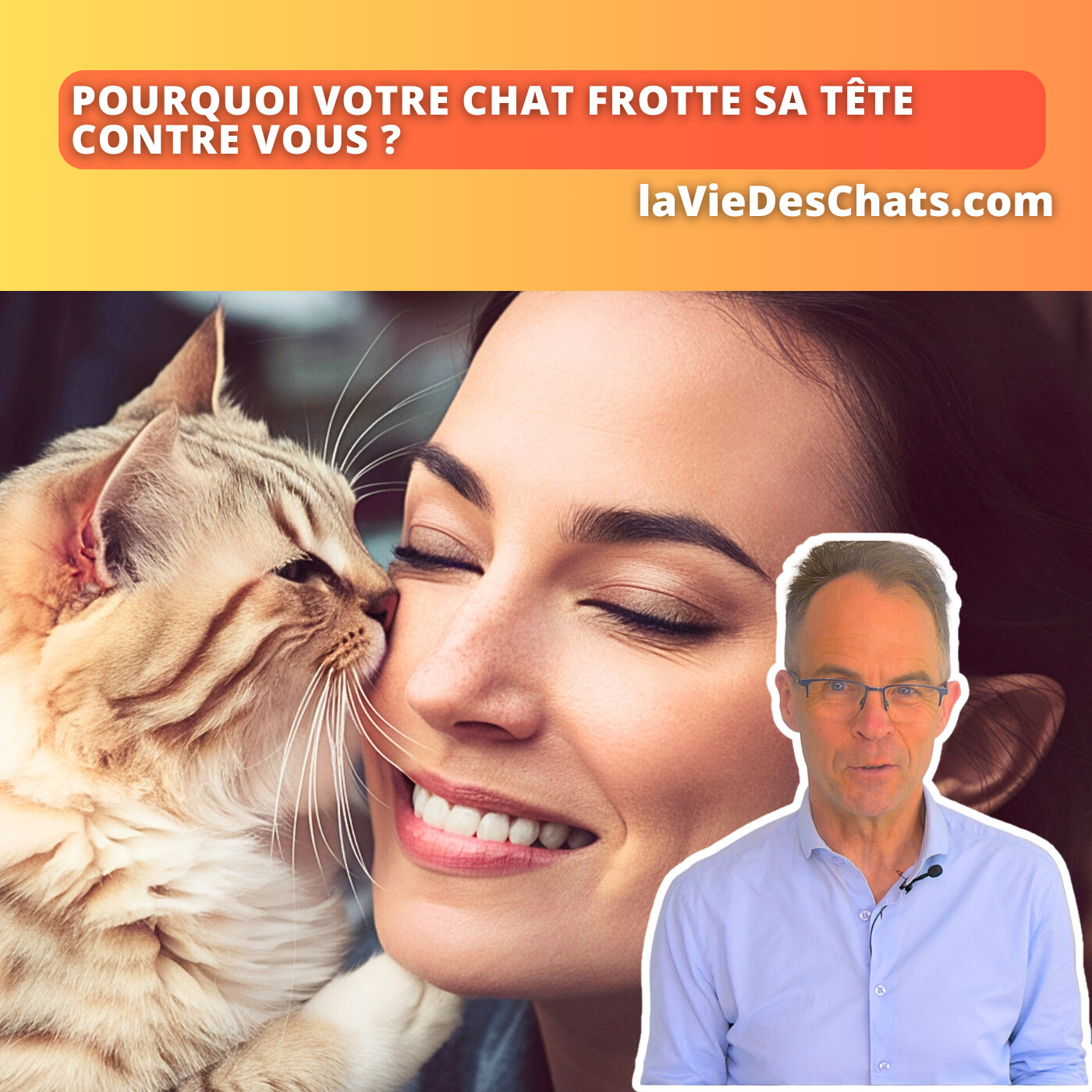 laVieDesChats