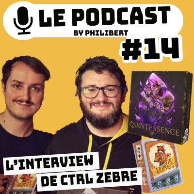 L'interview de Ctrl Zèbre cover