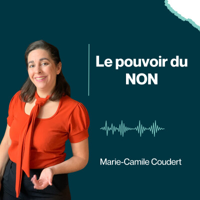 Le pouvoir du NON cover