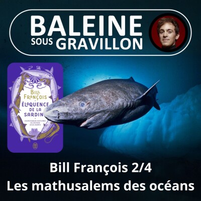 S03E11 L'éloquence de la Sardine 2/4 : Ce requin qui vit... 400 ans ! (Bill François) cover