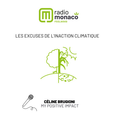 Les excuses de l'inaction climatique ! cover