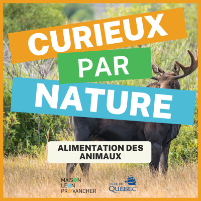 Curieux par Nature: l'alimentation des animaux cover