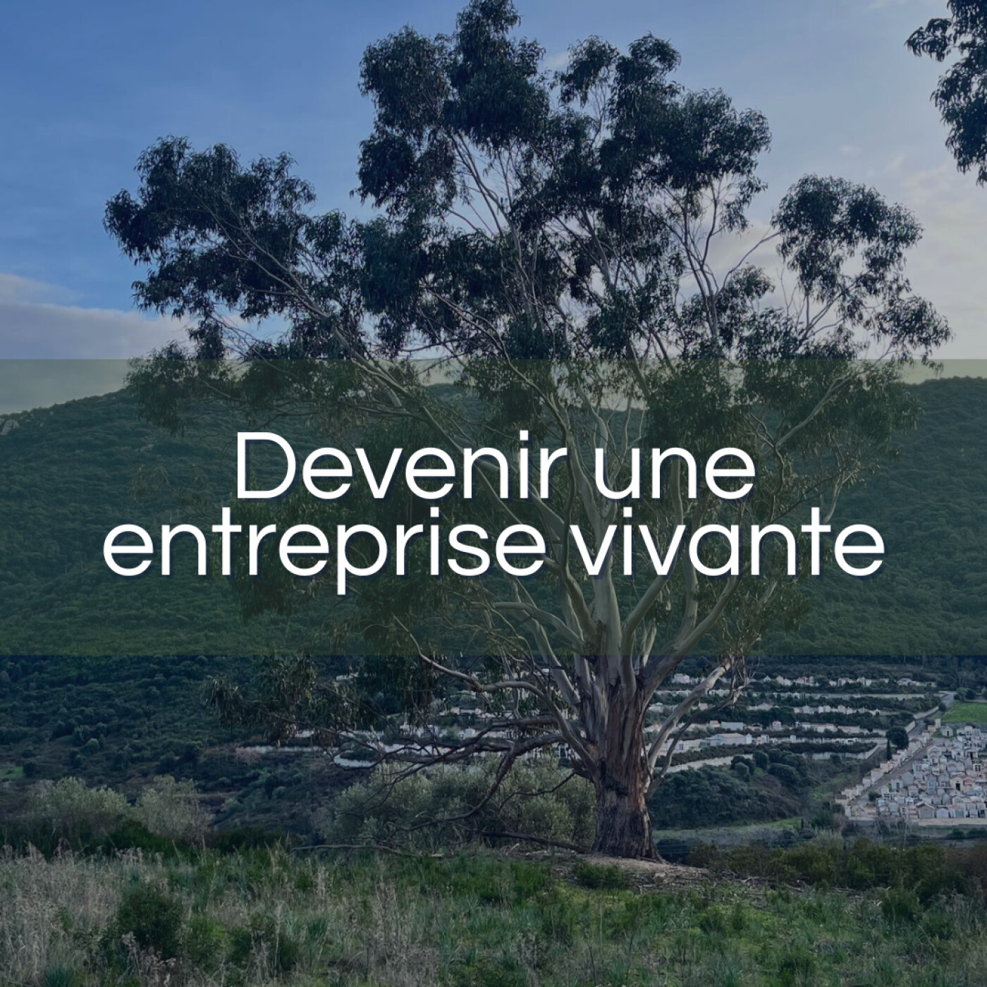 Devenir une entreprise vivante episode artwork