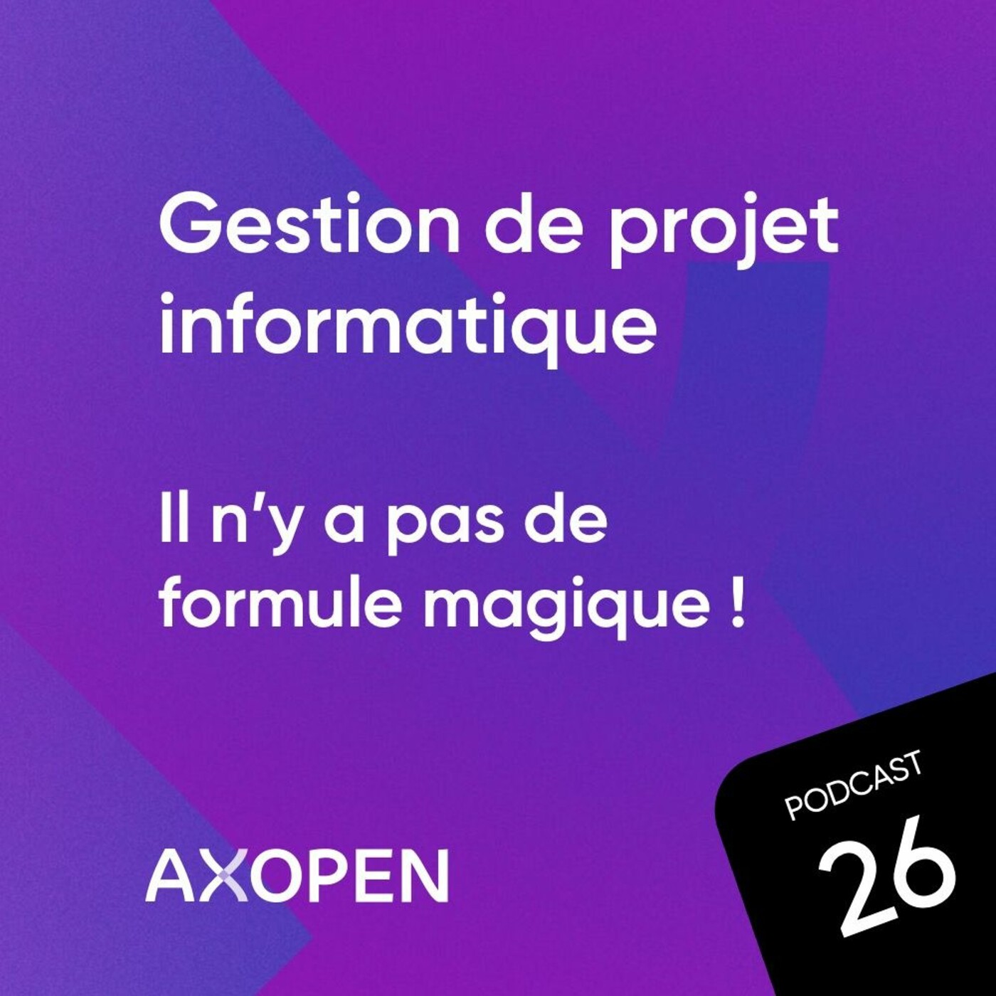 Gestion de projet informatique : il n'y a pas de formule magique !