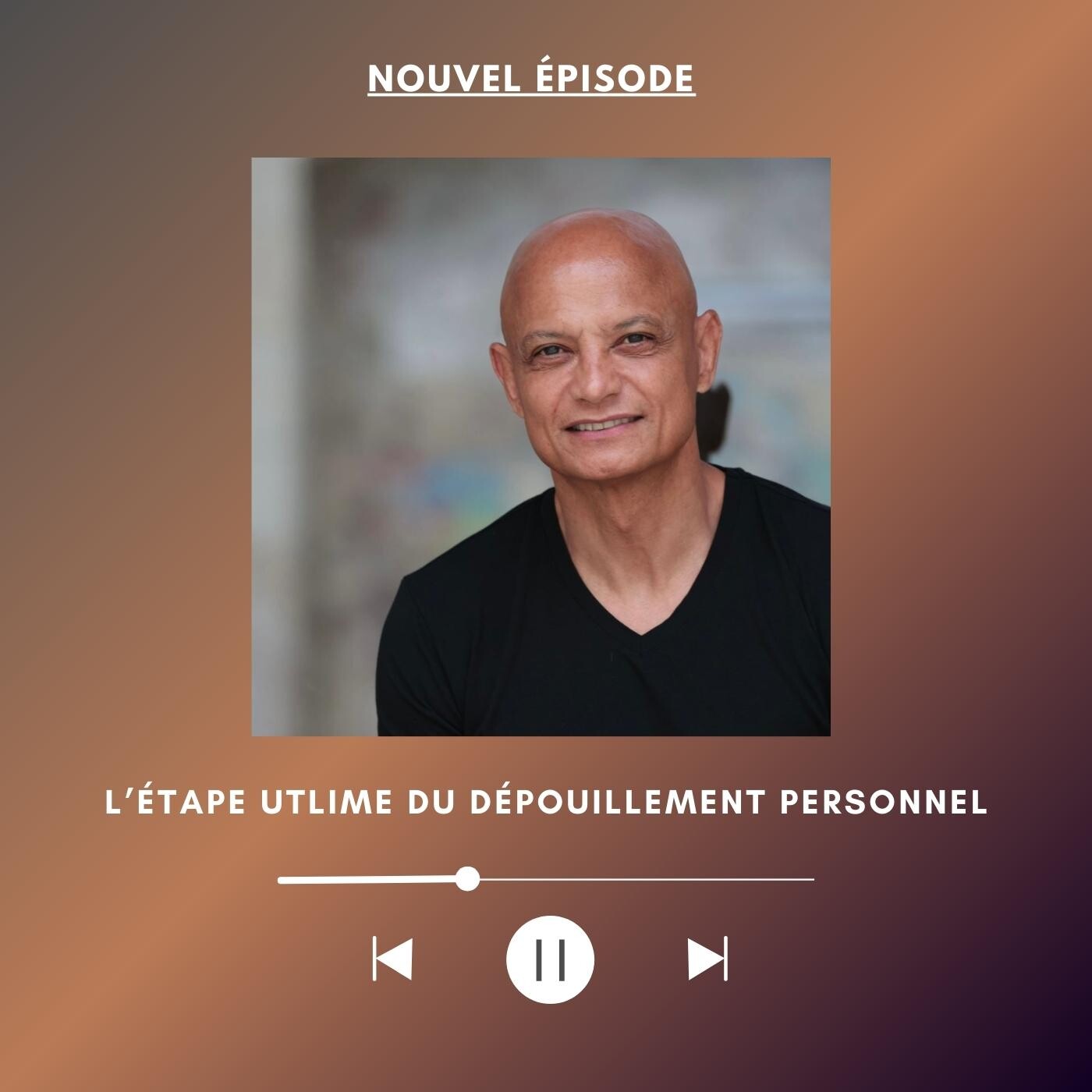 L'étape ultime du dépouillement personnel episode artwork